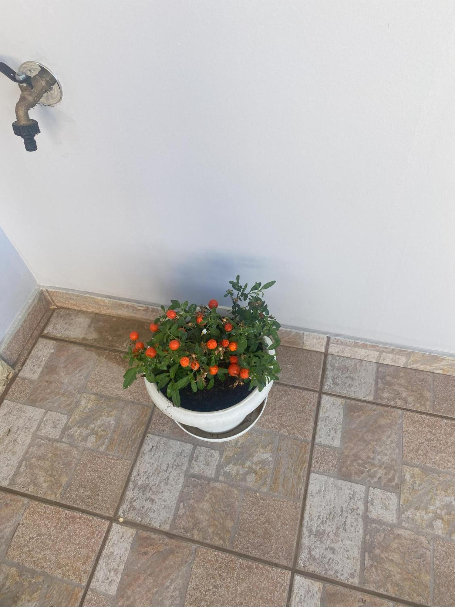New Unique Apartment In Heraklion Экстерьер фото