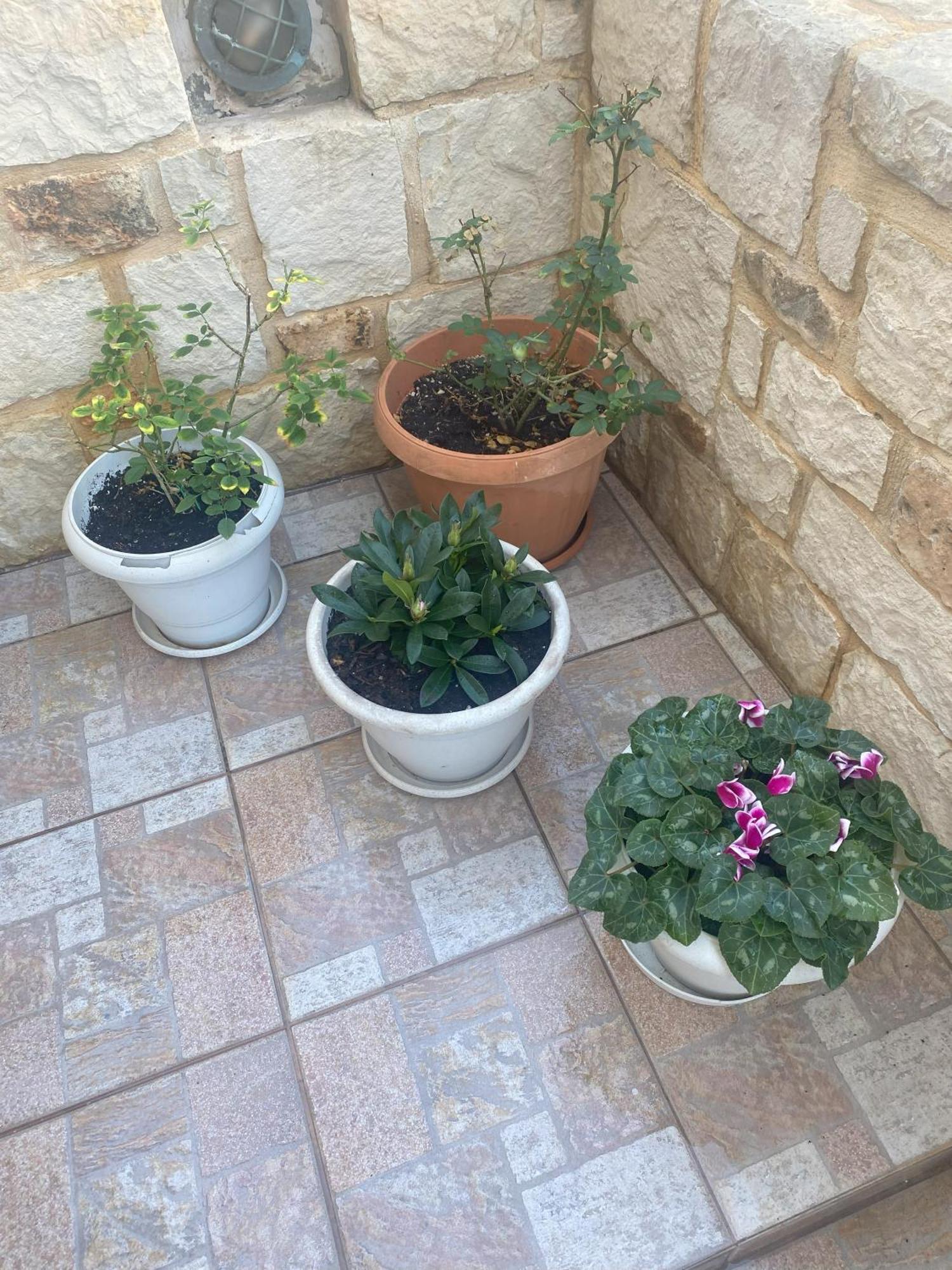 New Unique Apartment In Heraklion Экстерьер фото